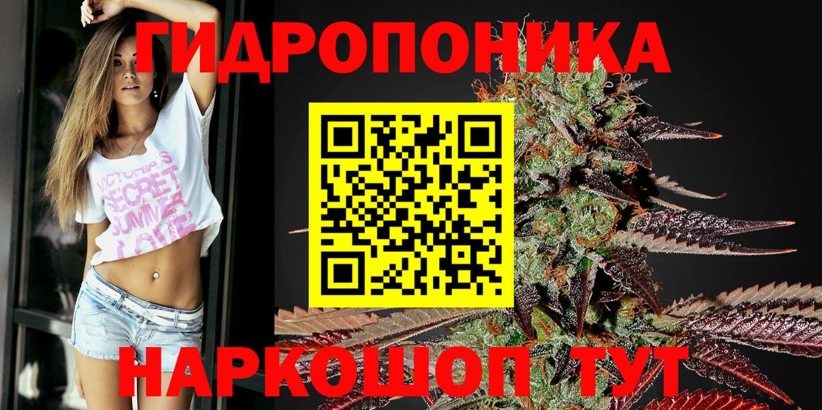 Бошки Шишки план Чебаркуль